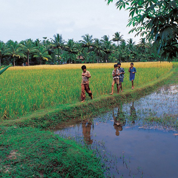 Typický život na indickém venkově