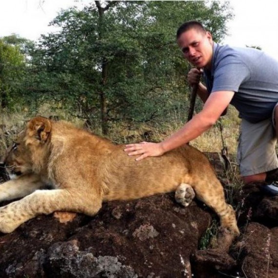 V Národním parku Chobe v Botswaně žijí tito krásní lvi