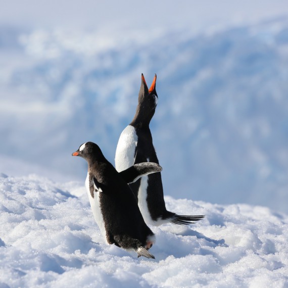 Na dotyk s drsnou přírodou 