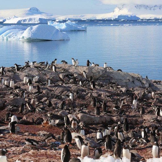 Každé vylodění je splnění snu