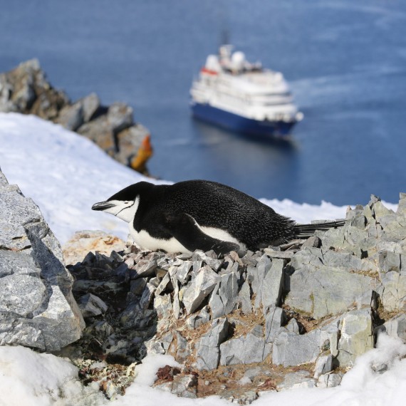 Plavba na opuštěný konec světa 