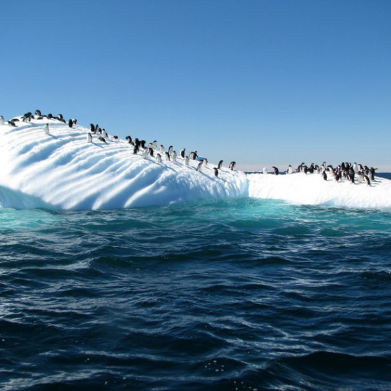Na dotyk s drsnou přírodou 
