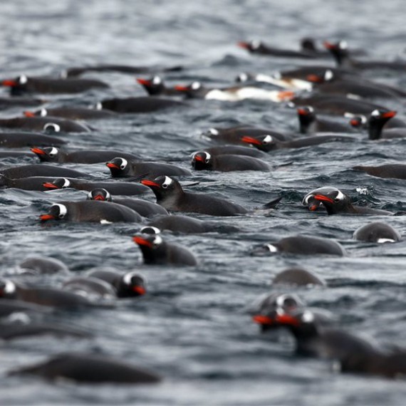 Neuvěřitelný život všude okolo nás 