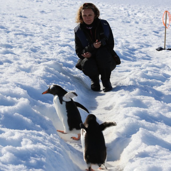 Nejmilejší setkání na Antarktidě 