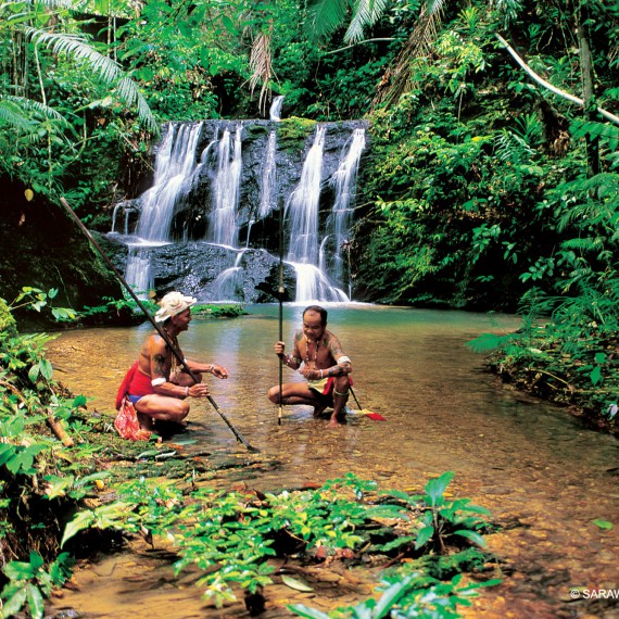 Procházka džunglí na Borneu