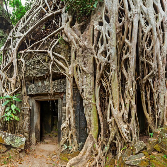 Magické chrámy Angkoru prorostlé džunglí