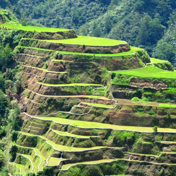 Jeden z divů světa - filipínská rýžová pole
