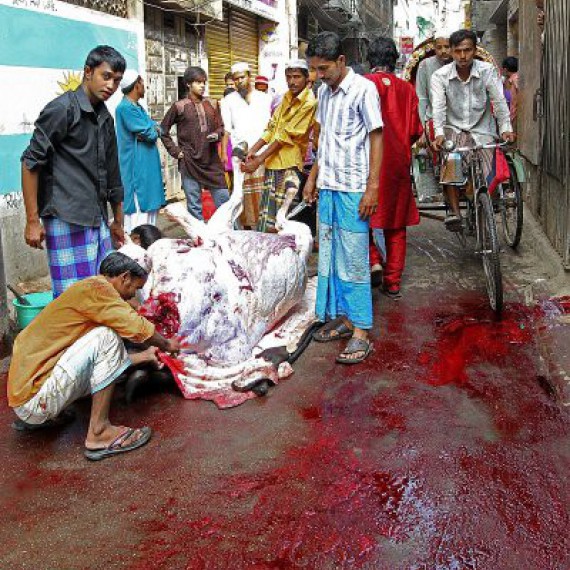 Neuvěřitelný, drsný zážitek na festivalu