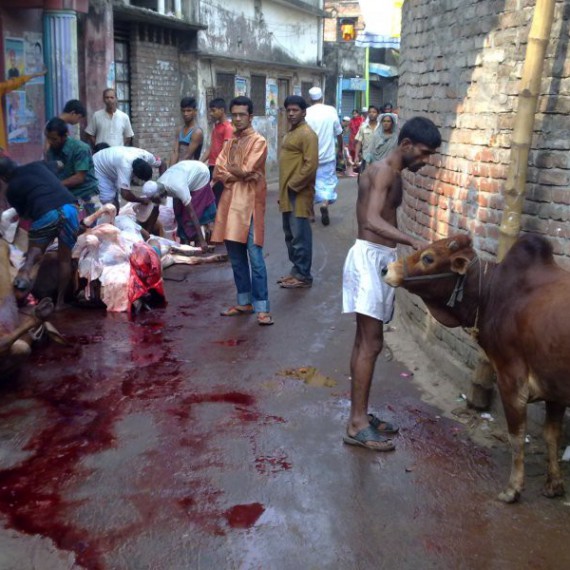 Festival Eid al-Adha ve staré Dháce