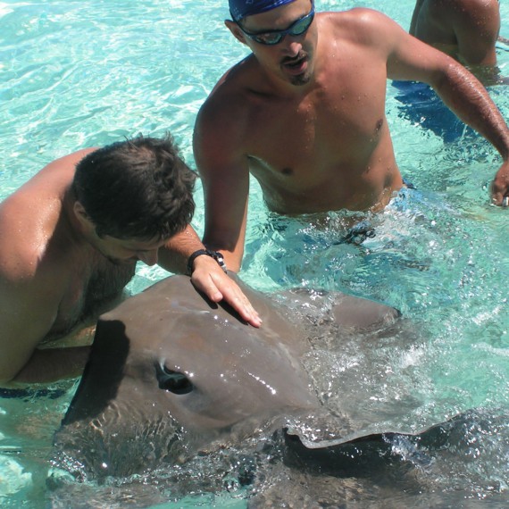 Užijete si setkání s rejnoky