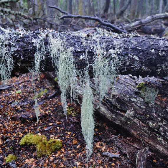 Poznáte místní přírodu