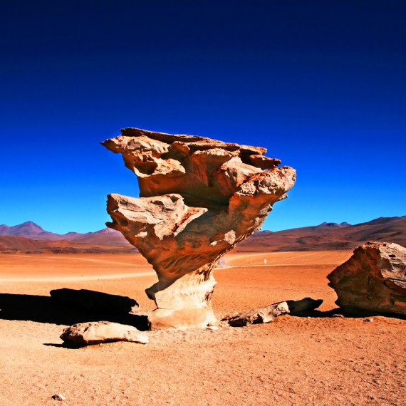 Kamenný strom na Altiplanu v Bolivii