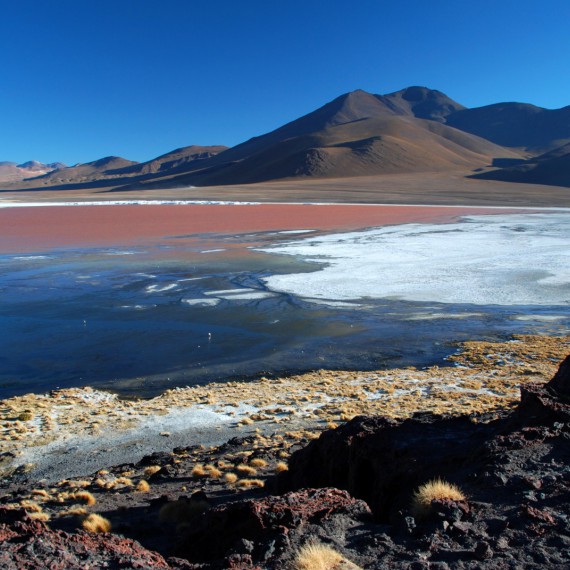 Paměťové karty zde zaplníme rychlostí blesku