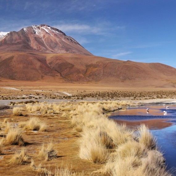 Fascinující příroda Jižní Ameriky