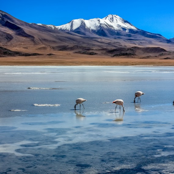 Výhledy na zasněžené vrcholky hor