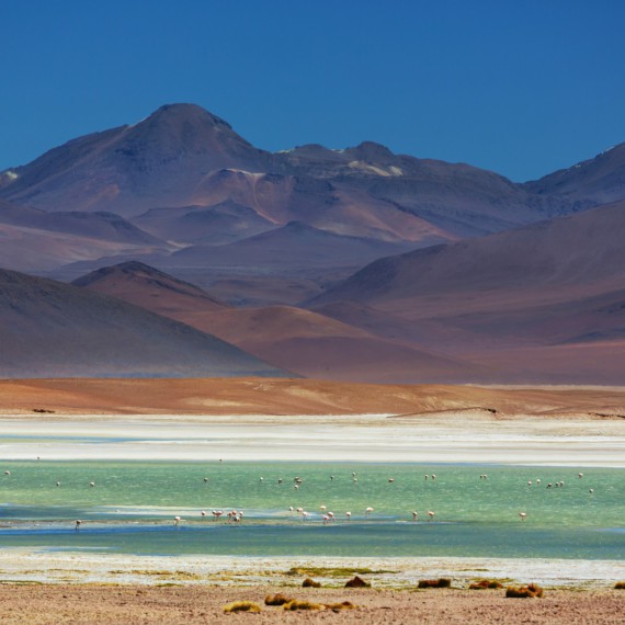 Z barev Altiplana přechází zrak
