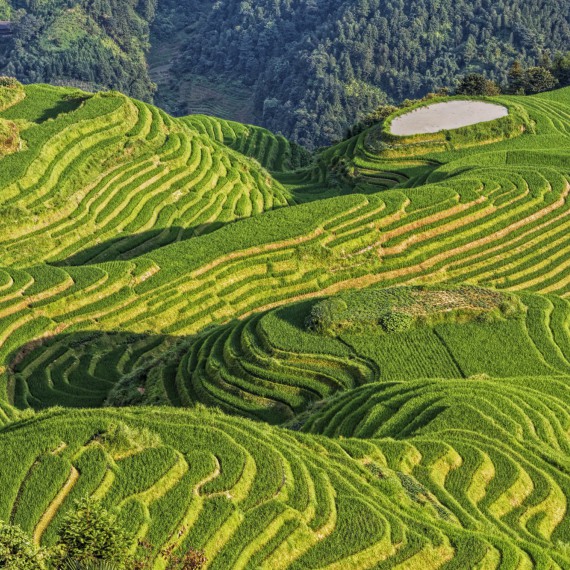 Na jaře připomínají zaplavená políčka šupiny draka