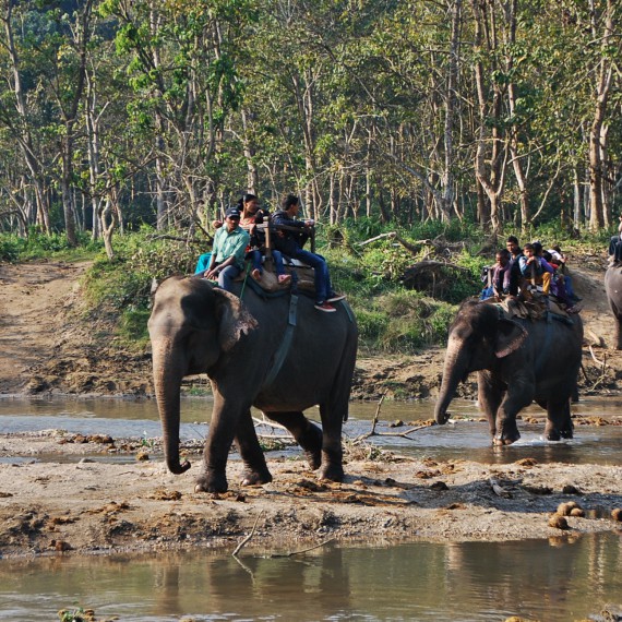 Divoké nepálské Safari
