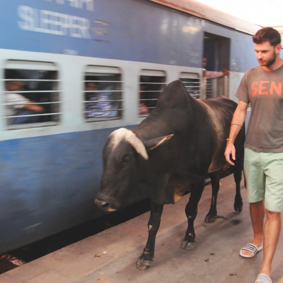 Průvodce CK SEN v Indii