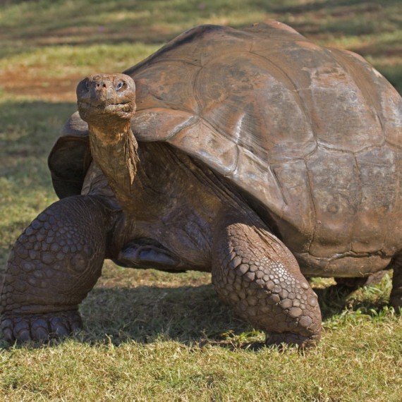 Vítejte na Galapágách