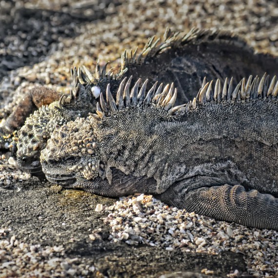 Povíme si od Darwinových poznatkách