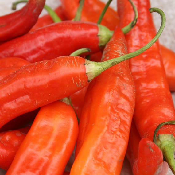 Chilli patří neodmyslitelně k ekvádorské kuchyni