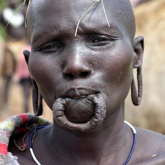 Náš SEN průvodce Vám poví zajímavosti o jednotlivých kmenech