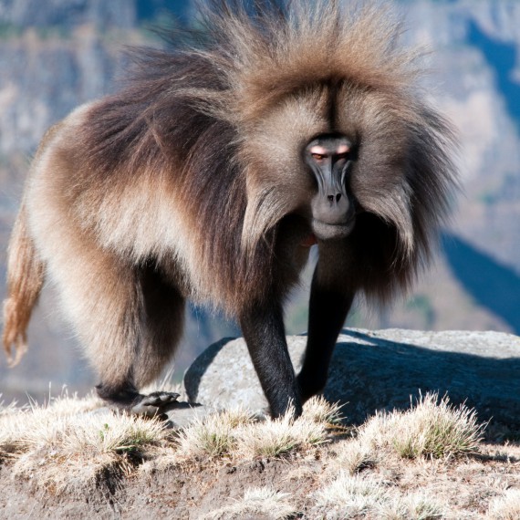 Jeden z místních obyvatel