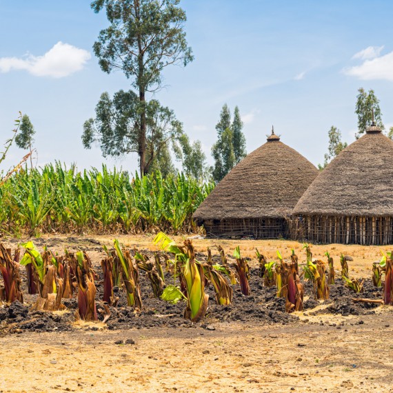 Čeká vás i stylový odpočinek