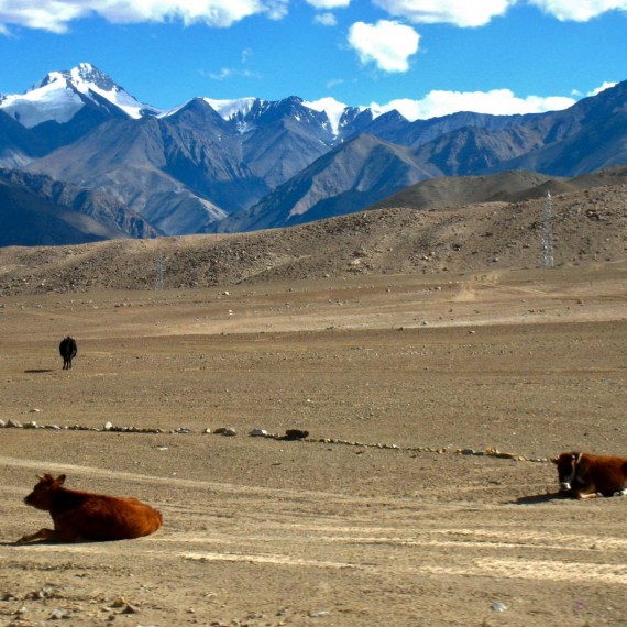 Na cestě ze Šrinagaru do Lehu jsme stále v obklopení hor