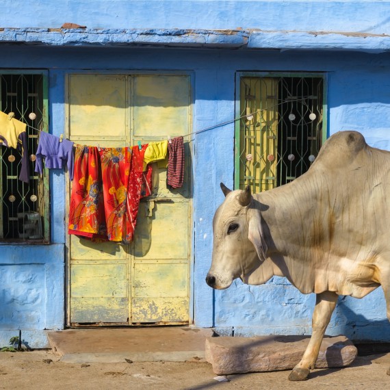 Vítejte v neuvěřitelné Indii
