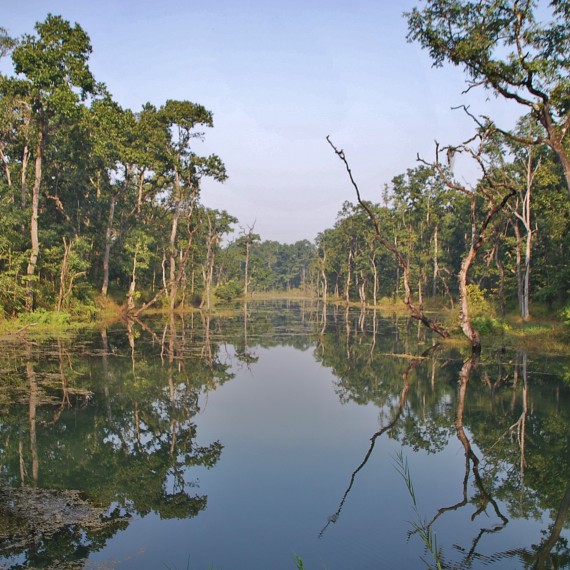 Safari v jižním Nepálu