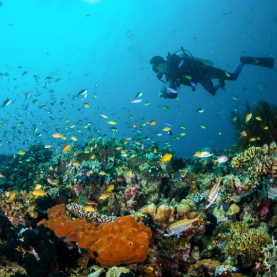 Čeká vás zážitek v podobě šnorchlování i potápění