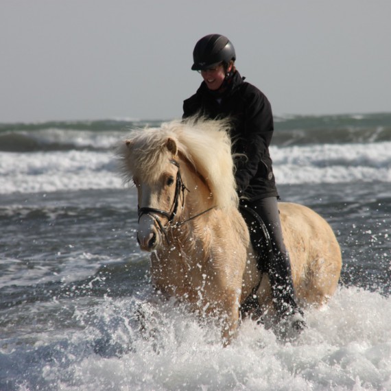 Jízda na koni na Islandu 