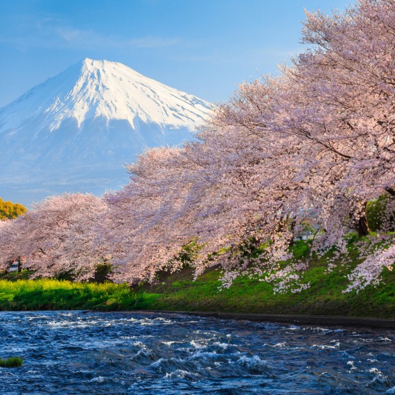 Výhled na Mt. Fuji z jezera Hakone