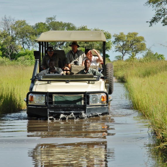 Národní park Kruger projedete džípem