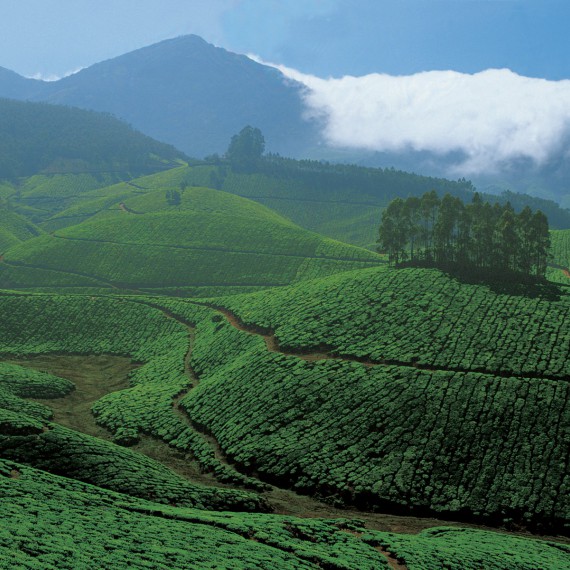 Ocitneme se v oblasti krásně zelené přírody