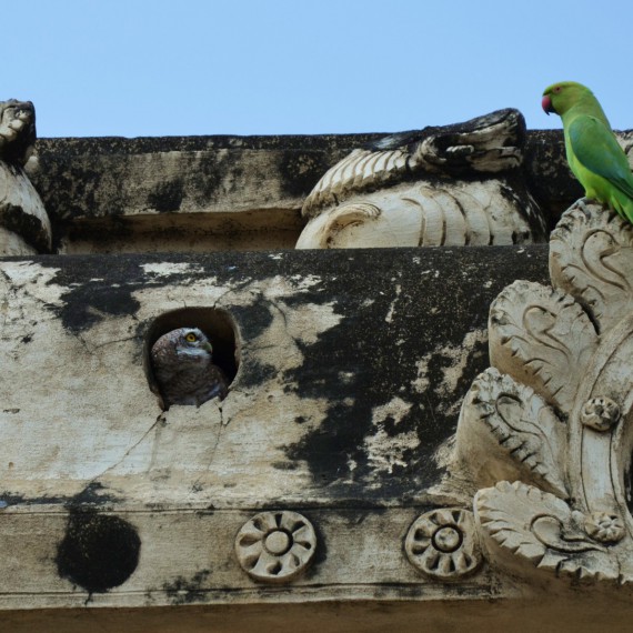 Detail hinduistického chrámu