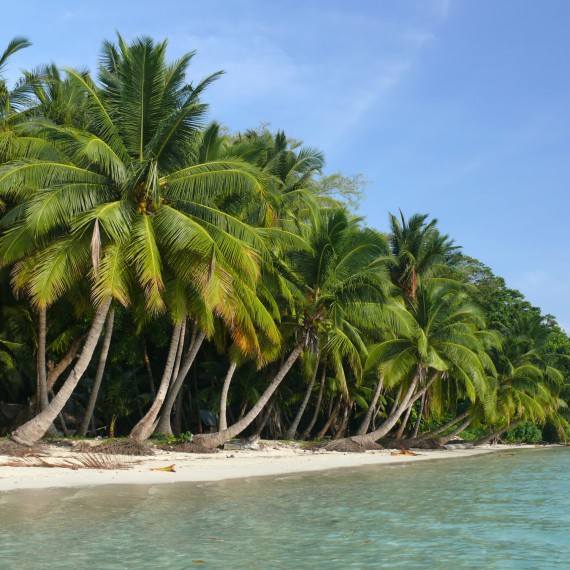 Ochutnáme exotiku na indický způsob. 