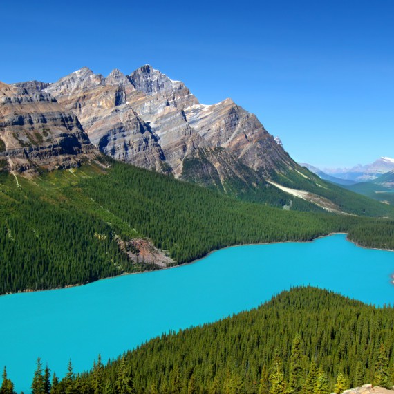 Tyrkysové jezero Peyto, Kanada  