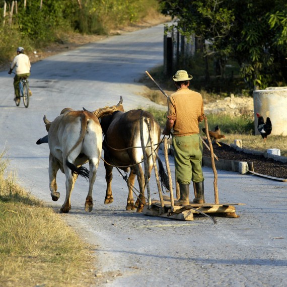 Život místních v údolí Vinales 