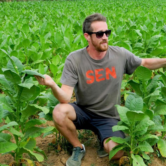 SEN na tabákové plantáži na Kubě 