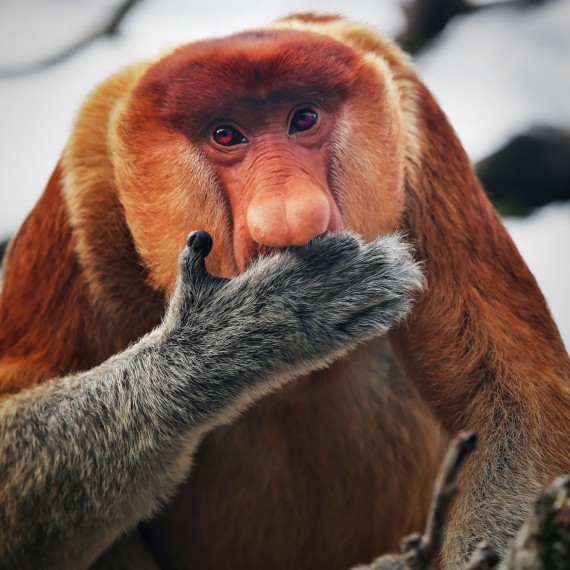 Tato setkání budou nezapomenutelným zážitkem