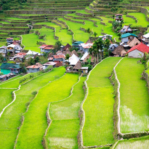 Filipínská rýžová políčka jsou opravdu unikátní