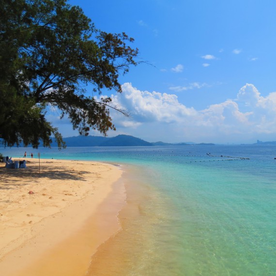 Borneo prozkoumáme dokonale 