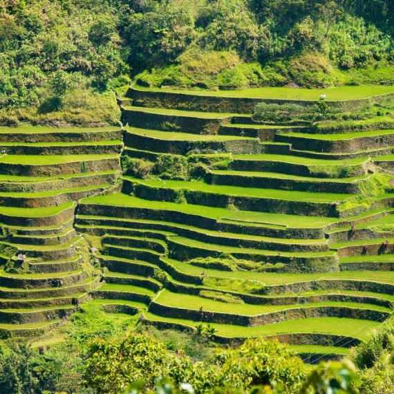 Užijeme si výhledy na nejkrásnější zelená políčka