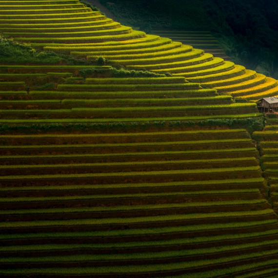 Filipínská rýžová pole v Benaue  jsou skutečným divem světa