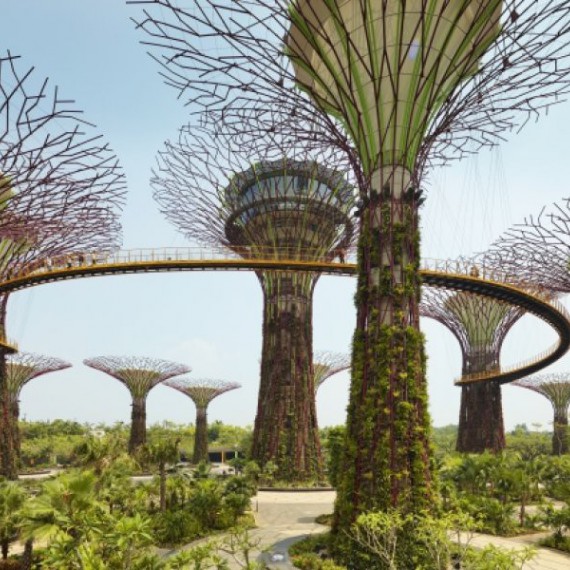 Prohlédneme si i známé Gardens by the Bay a projdeme se korunami stromů