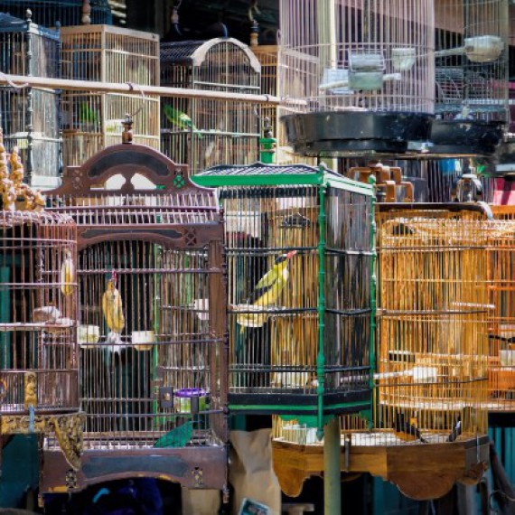 Na místním tržišti nakoupíme cokoliv