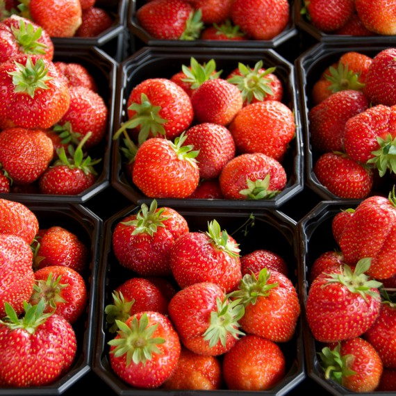 S CK SEN ochutnáte ve vesničce Linge norské jahody